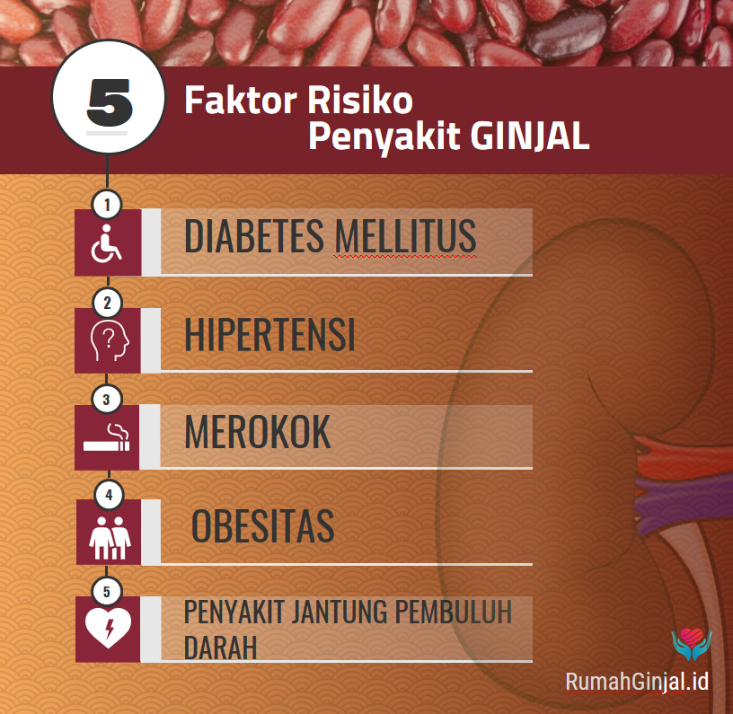 faktor-risiko-penyakit-ginjal